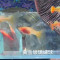 黃金玻璃繡球