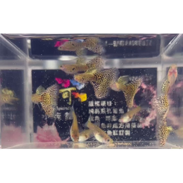 黃蛇王