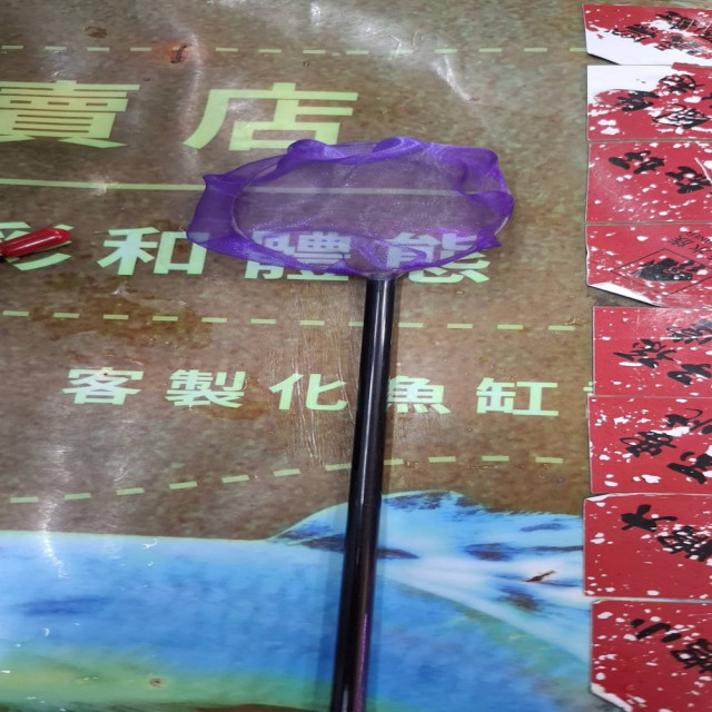 手工撈網直徑5.5公分(小)