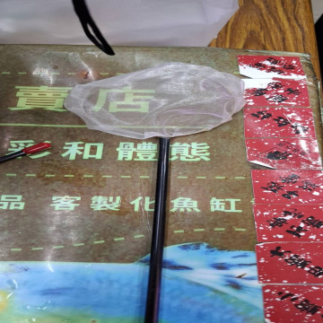 手工撈網直徑8.5公分(大)